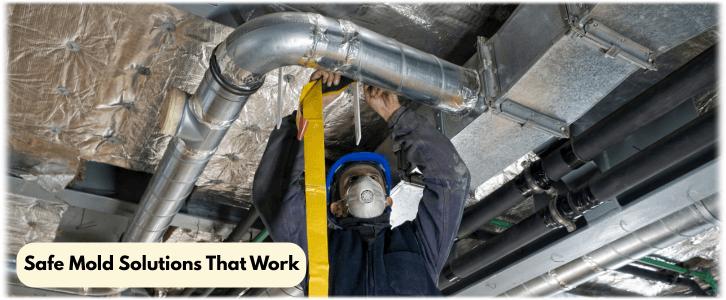 Air Duct Mold Removal in Mundelein IL