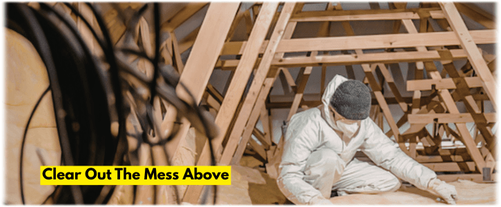 Attic Cleaning Mundelein IL