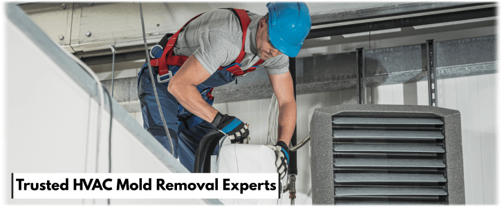 HVAC Mold Removal Mundelein IL